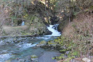 Sheep Creek Waterfall